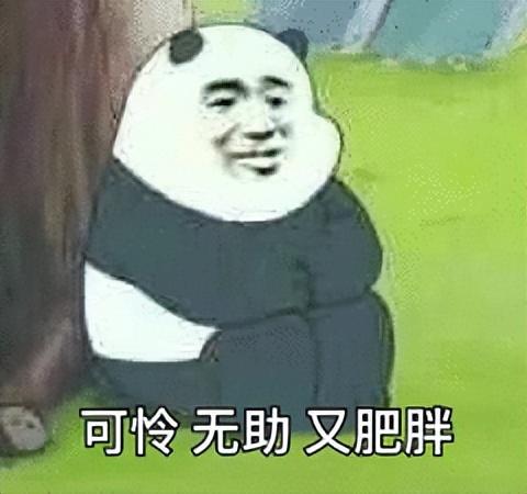 小鹏一开年就规划 30 款车!给网友看笑了
