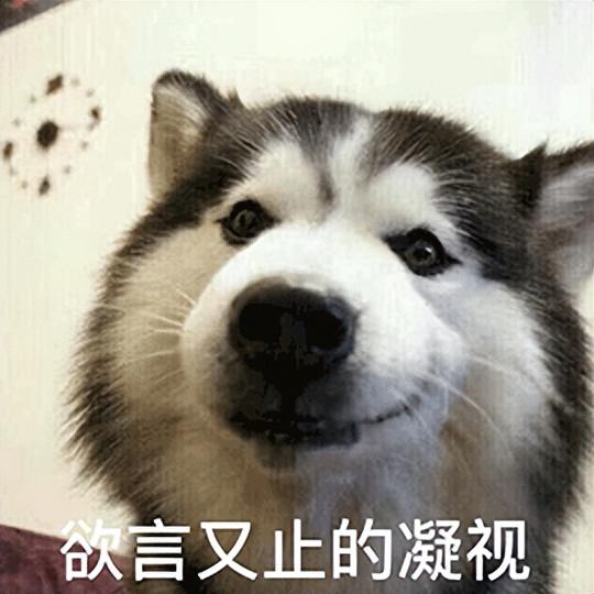 小鹏一开年就规划 30 款车!给网友看笑了