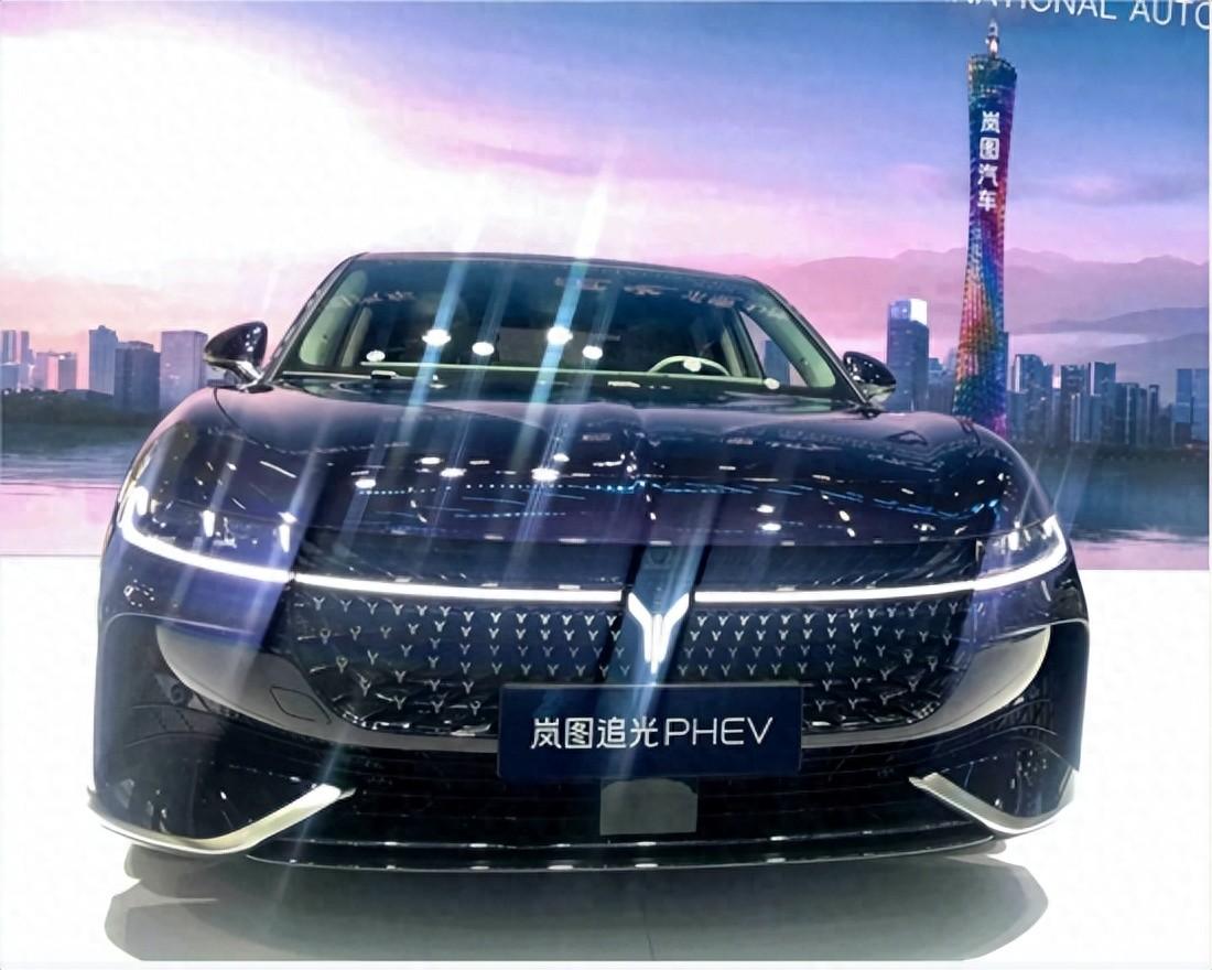 岚图追光 可盐可甜
