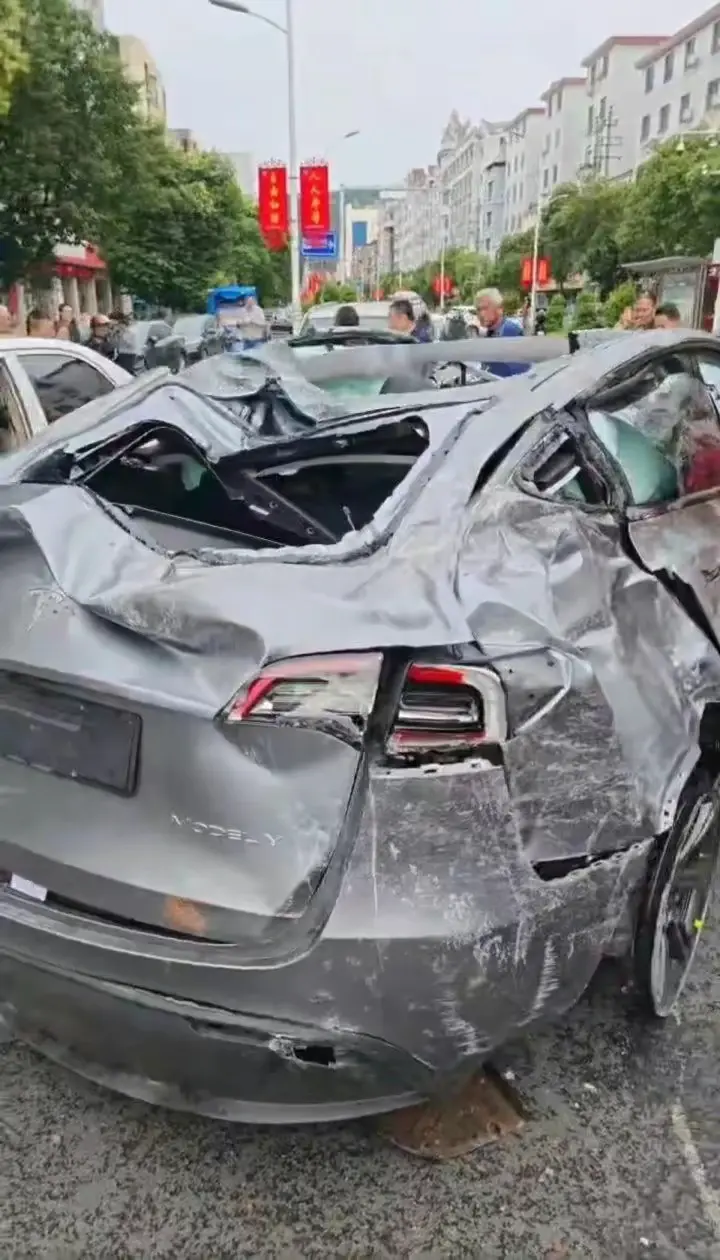 人间清醒:这辈子绝不买电车,如果非要买,那就买特斯拉