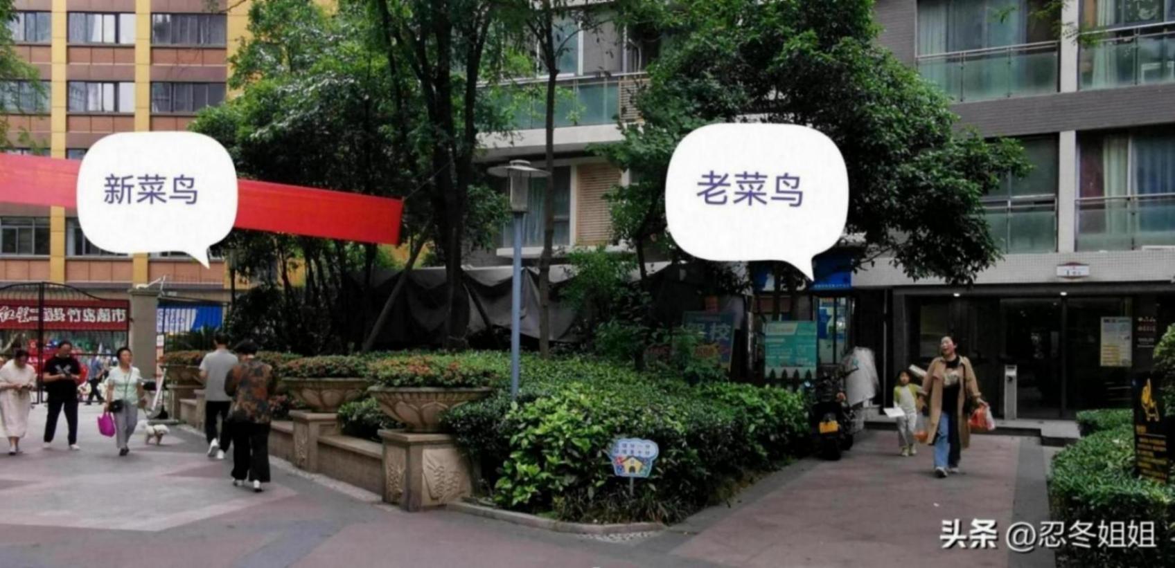 菜鸟驿站,一个大门开两家,神仙打架。