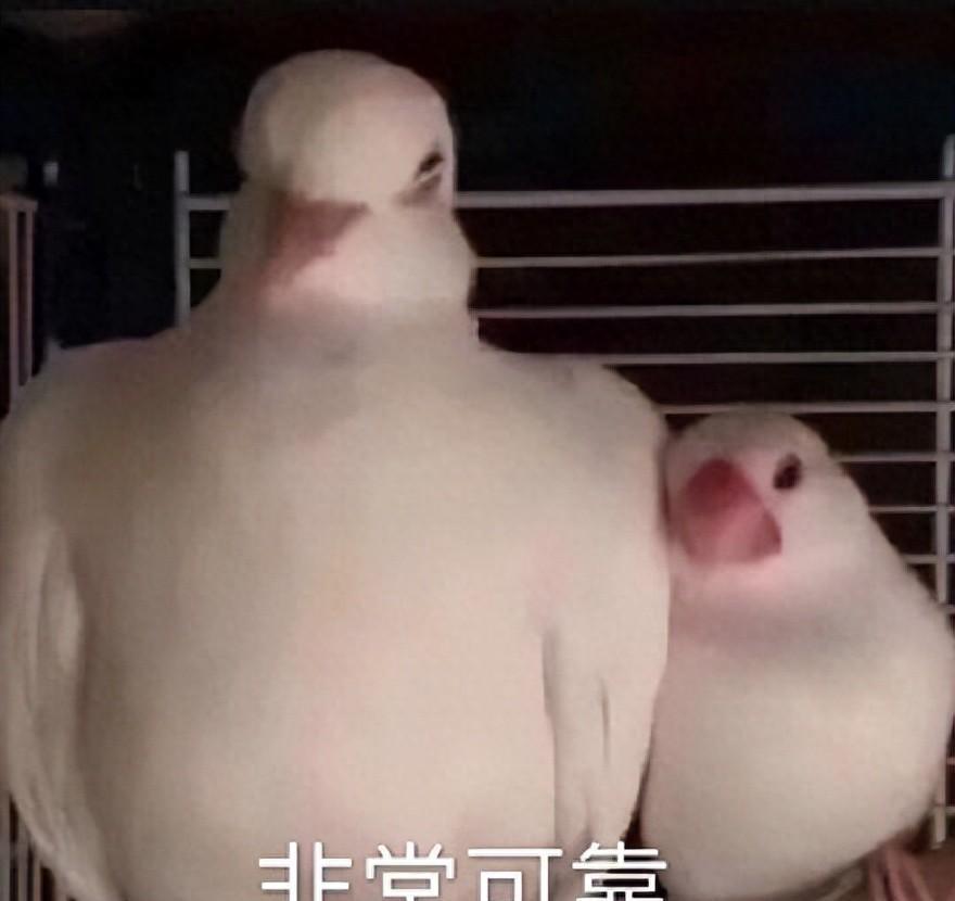 作为曾经的踩坑人,我做了以下5大明智的家居决定,幸福感倍增